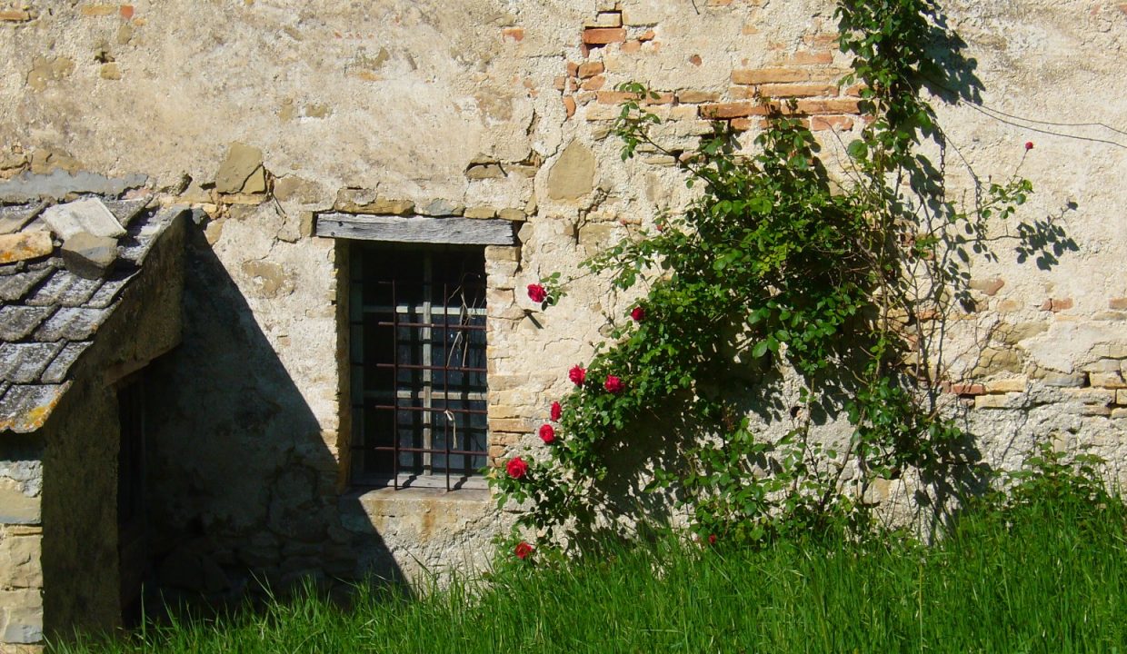 CASA 3
