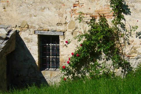 CASA 3