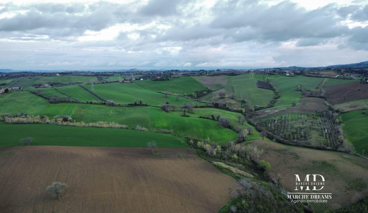 IMG-20250329-WA0054